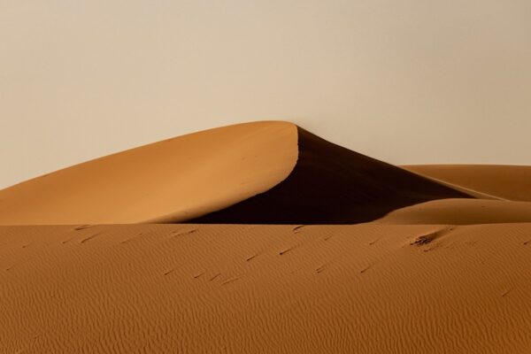 desert, sand, dune