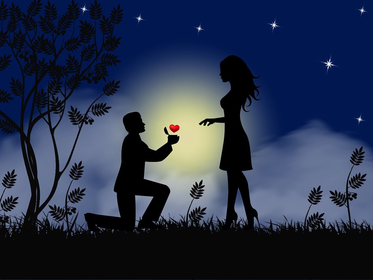 couple love proposal silhouette 3581038