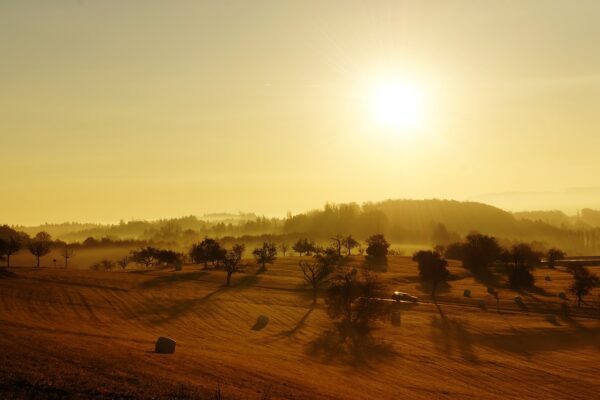 sunrise landscape fields lonely 73074