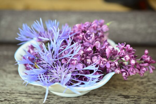 blossoms flower bowl hall porcelain 765781