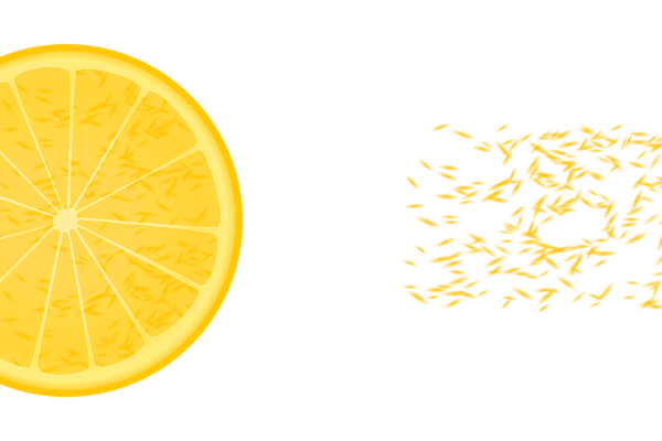 lemon citron citrus food fruit 148119