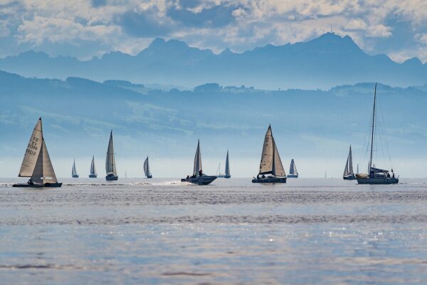 sailboats regatta lake constance 3729599