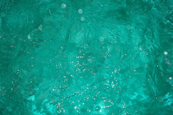 water rain green clear liquid wet 14402