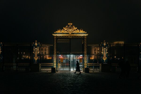 A person standing in front of a gate at night