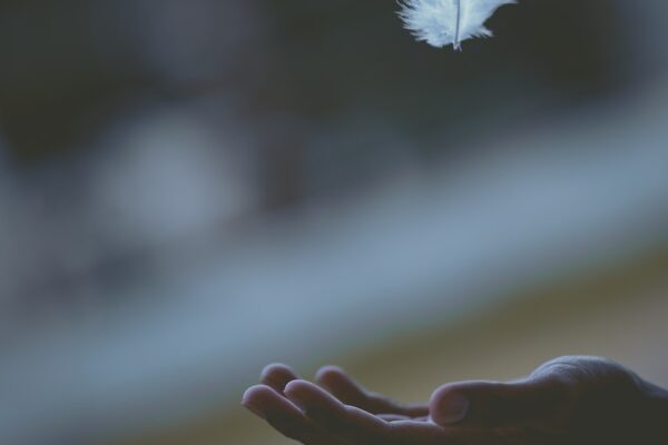 shallow focus photography of white feather dropping in person's hand