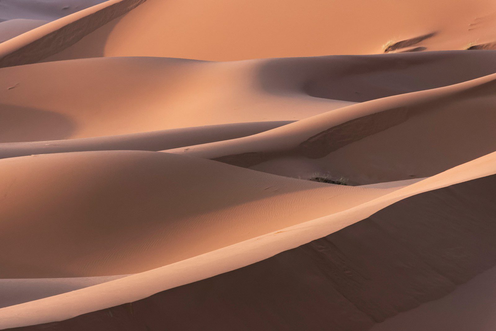 A group of sand dunes in the desert