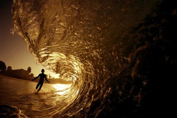 silhouette of person running towards seawave during golden hour