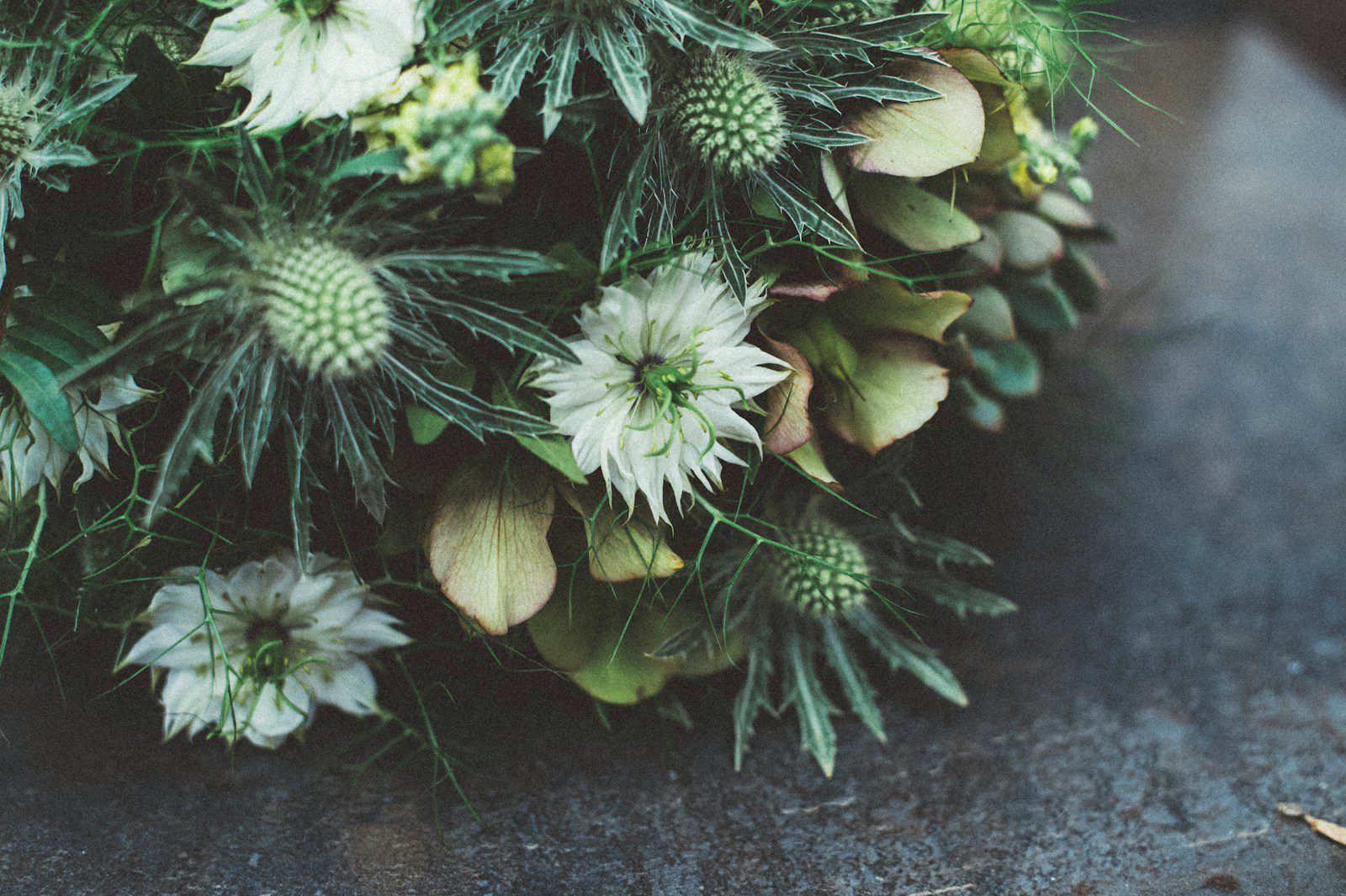 white and green flowers on black surface