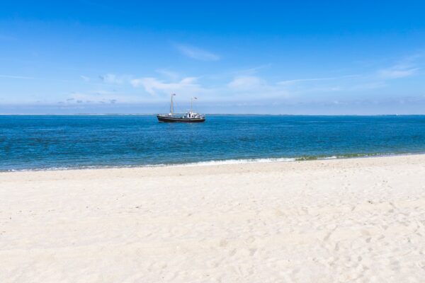 white seashore