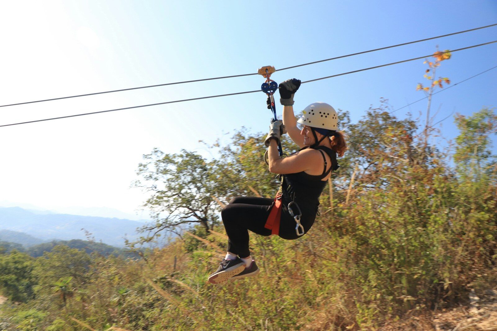 Zip Quotes: What Fast Moving Words Teach Us About Momentum