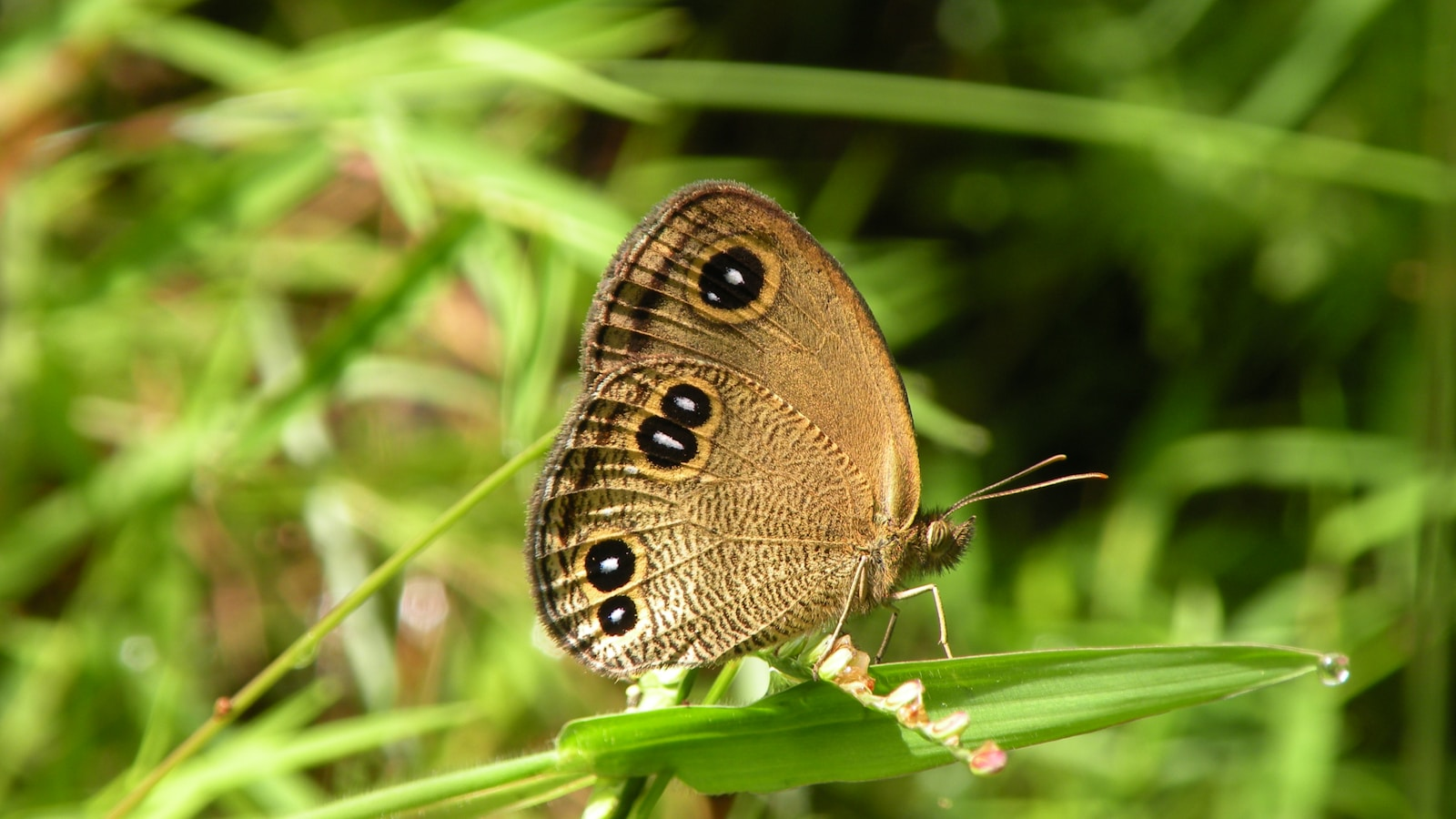 Zoology Quotes That Reveal the Wonder of the Animal World