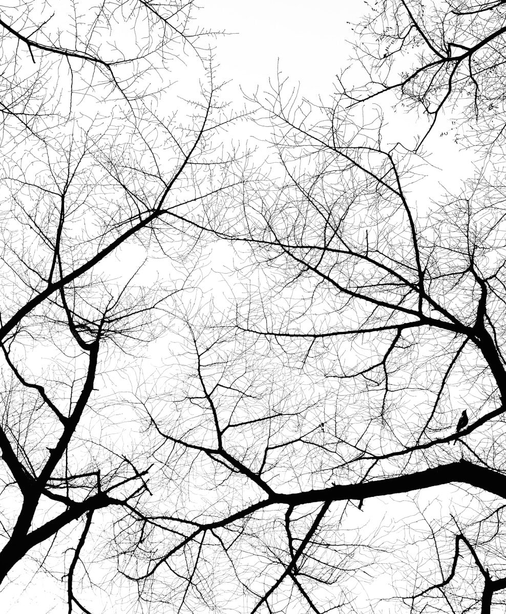 Zeal Quotes and What They Teach Us About Living With Purpose