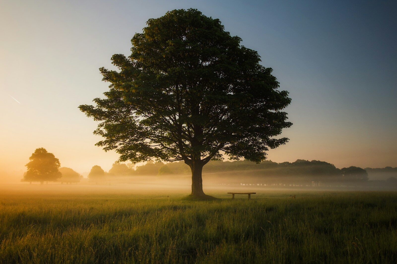 Wisdom Quotes That Stand the Test of Time