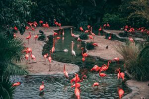 Read more about the article Zoo Quotes That Make Us Think About Animals, Nature, and Ourselves