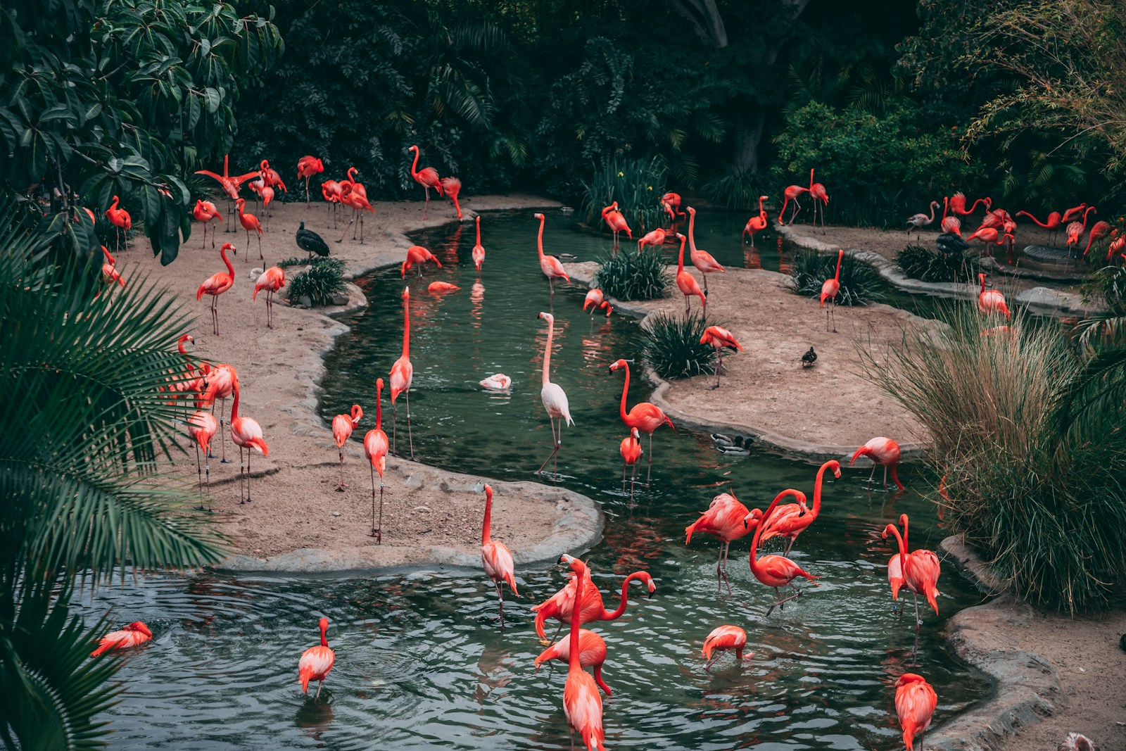 Zoo Quotes That Make Us Think About Animals, Nature, and Ourselves