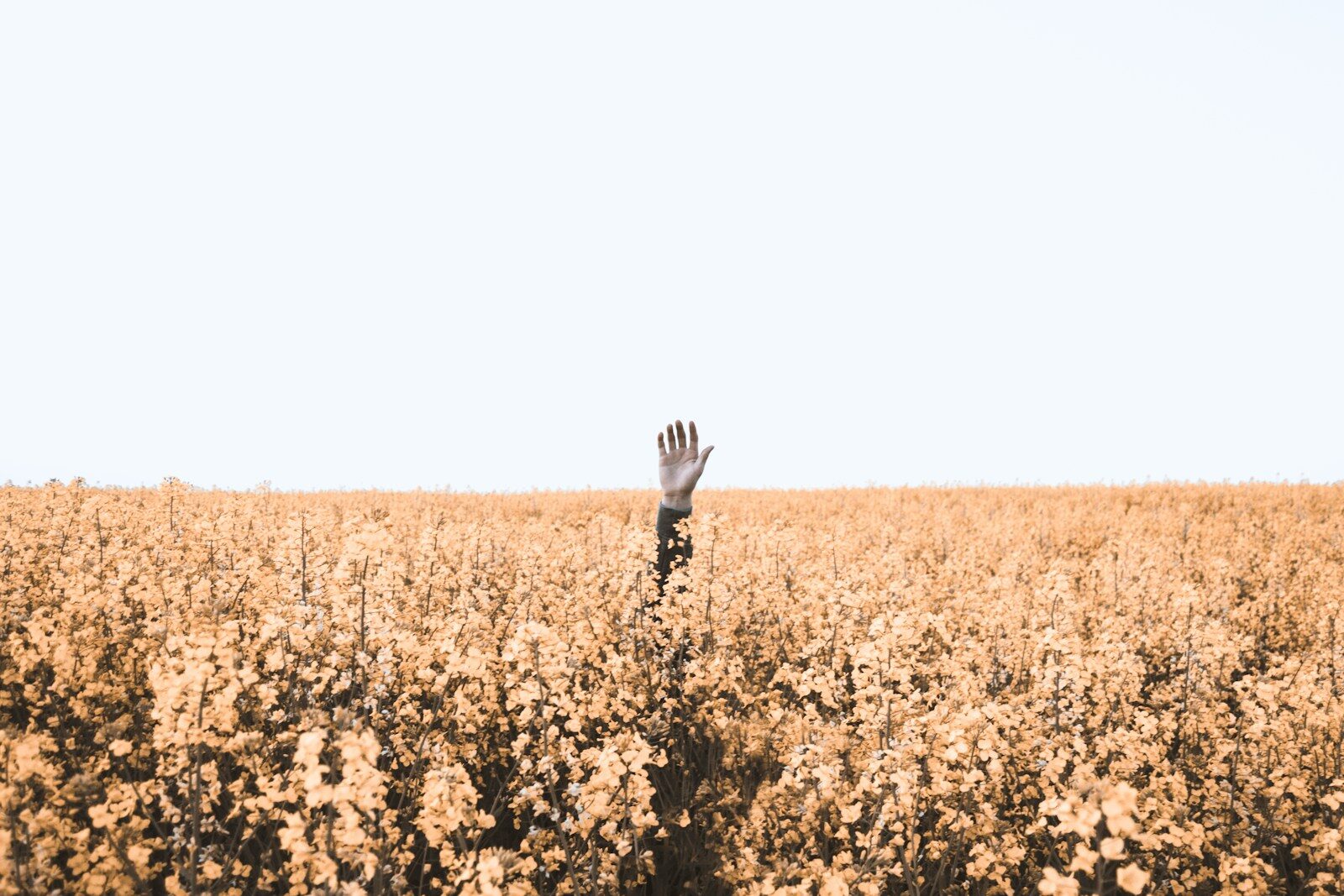 Read more about the article Why Do I Feel Lost?