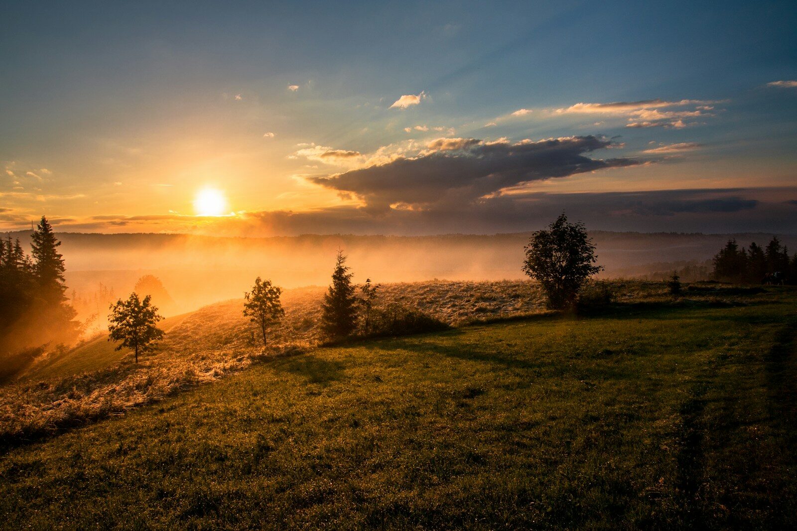 Read more about the article Helen Keller Quotes That Change the Way You See Life