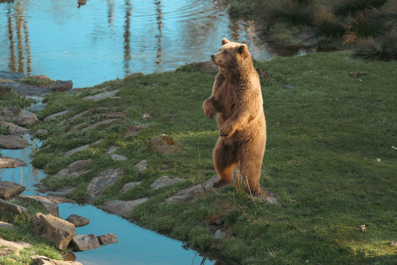 Read more about the article Eager Synonym: Words for Enthusiasm and Anticipation